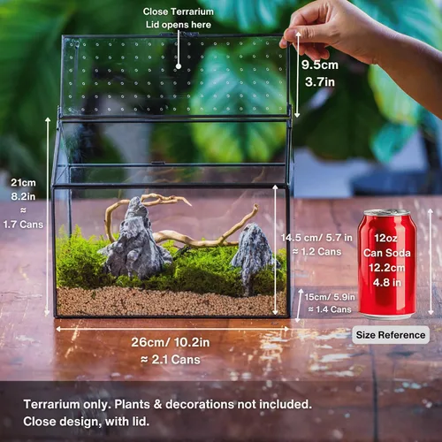 Miniatura 3 de NCYP Terrario de cristal con forma de casa con tapa acrílica, 10.2 x 5.9 x 8.2 pulgadas, caja de terrario geométrica grande de mesa para caracoles