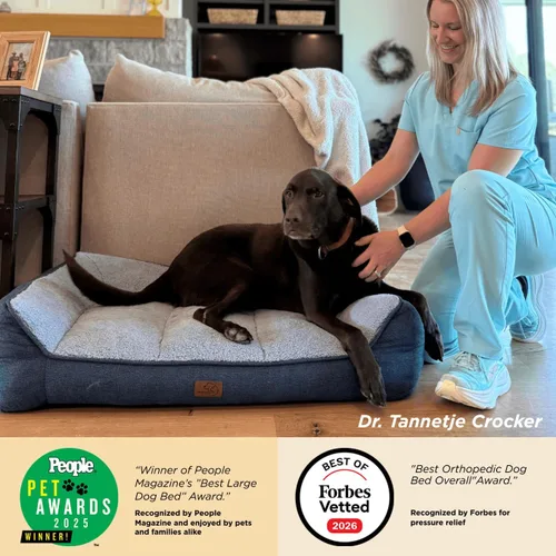 Miniatura 2 de Bedsure Cama ortopédica para perros de tamaño mediano, camas extra gruesas de apoyo para perros medianos con funda impermeable lavable, cómodo sofá