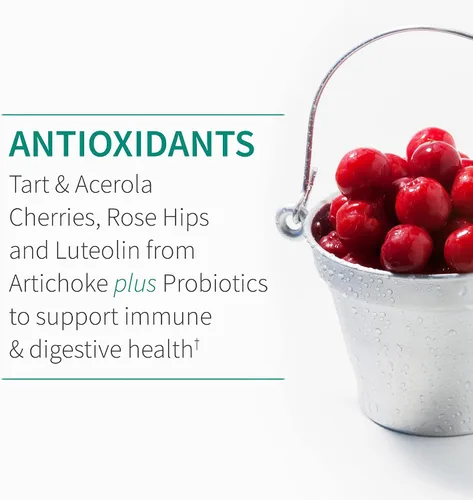 Miniatura 7 de Garden of Life Suplemento de apoyo al sistema inmunológico de quercetina una vez al día con vitamina C, D y probióticos, formulado por Dr. - Salud