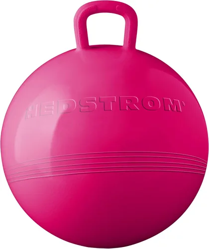 Miniatura 11 de Hedstrom Pelota Saltarina Azul de 15