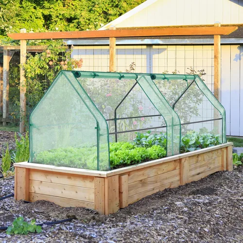 Miniatura 6 de Ohuhu Mini invernadero portátil, invernaderos de 71 x 36 x 36 pulgadas para exteriores con puertas dobles grandes con cremallera y estacas de Verde