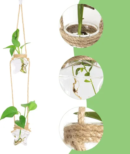 Miniatura 5 de XXXFLOWER Estación de propagación para colgar en la pared, florero de cristal en forma de estrella de 2 niveles para maceta hidropónica, terrario