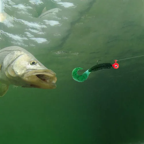 Miniatura 6 de Dr.Fish Paquete de 20 Cabezas de Jig de Pesca, Jig de Crappie Cabeza de Bola Redonda Anzuelos de Pesca de Agua Dulce Lubina Trucha Panfish Walleye
