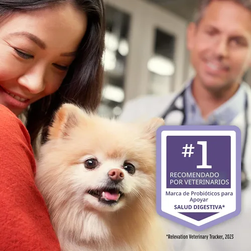 Miniatura 5 de Purina Pro Plan - Suplementos veterinarios FortiFlora - Probióticos caninos para perros, ayuda a la salud digestiva intestinal y la diarrea - Caja