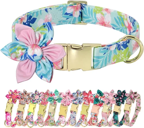 Collares de perro femeninos Beirui con patrones florales vibrantes, collar de perro hembra con flor para caminar, collar ajustable duradero para