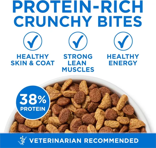 Miniatura 6 de Purina ONE Plus - Alimento para gatos con alto contenido de proteínas, salmón seco y pescado blanco del océano, fórmula para la salud de la piel
