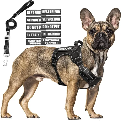 Miniatura 15 de Juego de arnés táctico para perros y correa para perros grandes, chaleco de perro de servicio resistente sin tirones y 10 parches con cinturón