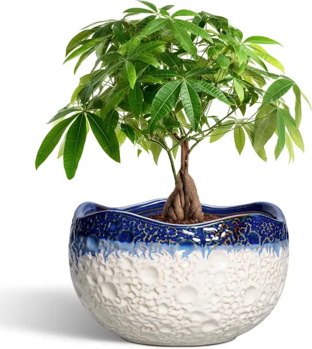 Miniatura 26 de Macetas de Cerámica Thirtypot - Maceta de 4 Pulgadas con Agujero de Drenaje, Macetas Pequeñas para Plantas de Interior y Exterior, Maceta Redonda