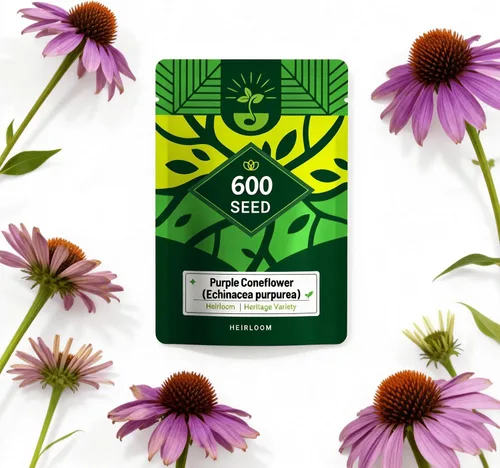 Miniatura 8 de Semillas de equinácea púrpura (Echinacea purpurea), perenne nativa resistente, paquete de 600 semillas