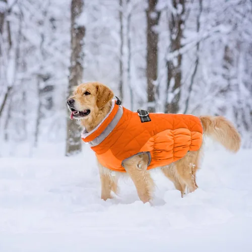 Miniatura 6 de Lelepet Abrigo cálido para perro, abrigo de invierno para perro, chaqueta impermeable para perros con arnés integrado reflectante para mascotas