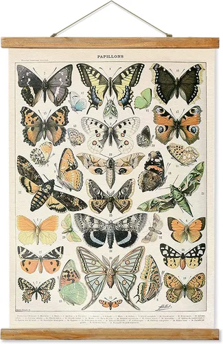 Miniatura 24 de Ovfovy Póster vintage de hongos con marco de madera, estilo retro de pintura botánica de pared, póster de tabla de referencia ilustrativa para sala