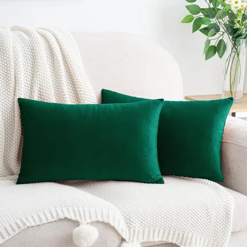 Miniatura 39 de HWY 50 Juego de 2 fundas de almohada de terciopelo verde azulado de 16 x 16 pulgadas, suaves, acogedoras, lisas, decorativas, de lujo, para sofá