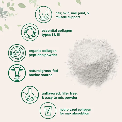 Miniatura 4 de Micro Ingredients Péptidos de colágeno en polvo orgánico, 12 onzas Tipo I y III + proteína natural Fuente bovina alimentada con pasto Sin