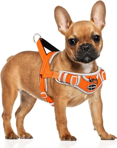 Miniatura 13 de ADVENTUREMORE Arnés para perros grandes, antitirones, arnés deportivo para perro, reflectante, transpirable, chaleco para perro, a prueba de Al