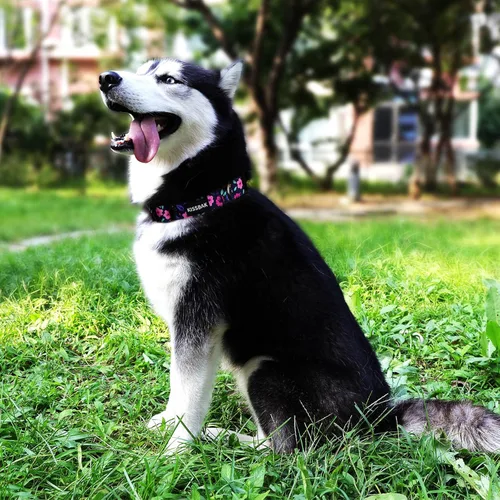 Miniatura 5 de Collar para perros medianos, diseño especial, lindo collar para perritas, suave, ajustable, floral, para cachorros, collares para perros (M, floral)
