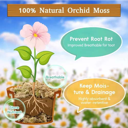 Miniatura 3 de Riare 1.1 libras de musgo esfagnum de alta calidad, plantas de turba de esfagnum largo natural, secado con musgo, plantas carnívoras mezcla