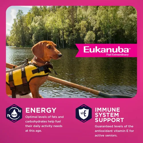 Miniatura 6 de Comida para perros seca EUKANUBA Senior