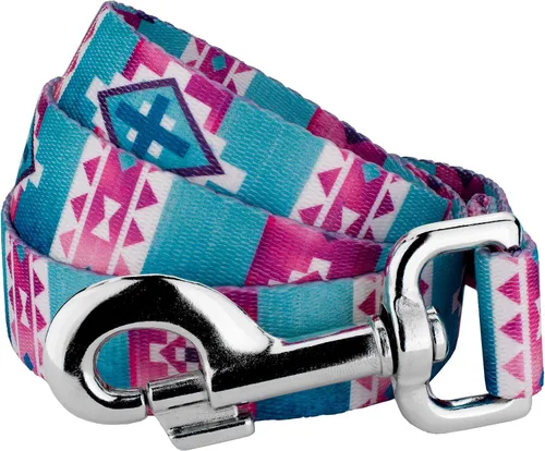 Miniatura 17 de Country Brook Design® Correa para perro Native Arizona de 1 pulgada - 6 pies Arizona nativa