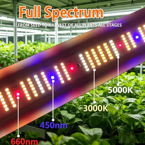 Miniatura 9 de FARMLITE Barras de luz de crecimiento de espectro completo debajo del dosel, lámparas de cultivo LED para plantas de interior, cadena de margaritas