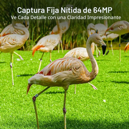 Miniatura 5 de Meidase Paquete de 2 cámaras Trail P70 (no celular, sin WiFi), 64MP 1296p, visión nocturna IR sin brillo, activada por movimiento, impermeable