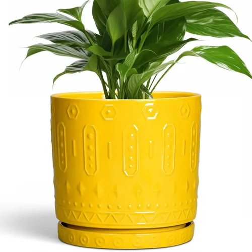 Miniatura 21 de Maceta de Cerámica Eightpot - Maceta de 20 cm para Interior con Agujeros de Drenaje y Platillo, Maceta Redonda para Exterior, Maceta Moderna de Azul