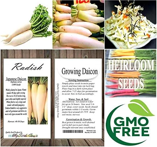 Miniatura 7 de Paquete grande - Semillas sin transgénicos de MySeeds.Co