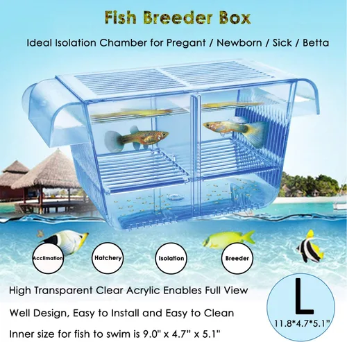 Miniatura 7 de capetsma Caja de Cría de Peces, Caja de Aislamiento de Peces de Acrílico con Ventosas, Incubadora de Vivero de Aclimatación de Acuario para Peces