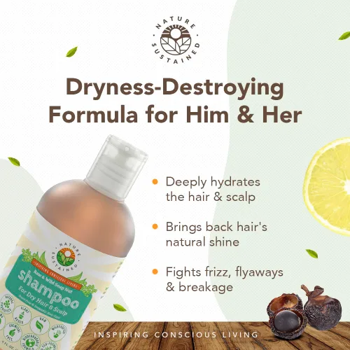 Miniatura 2 de Nature Sustained Champú Natural para Cabello Seco y Cuero Cabelludo - Orgánico, Crudo y Silvestre con Probióticos, Hipoalergénico, Champú Hidratante