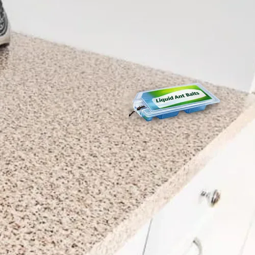 Miniatura 4 de Cebo líquido para hormigas, paquete de 2 (2.2 onzas cada uno) – Asesino de hormigas para interiores y exteriores, de larga duración, control eficaz