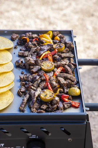 Miniatura 7 de Country Smokers Parrilla de gas portátil de 2 quemadores con cubierta adicional Parrilla plana de propano presazonado para exteriores