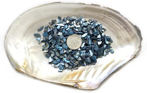 Miniatura 2 de Yew & Tulip Chips de conchas trituradas naturales, fragmentos de mosaico irregulares de madreperla de 32 onzas (2 libras) para decoración del hogar