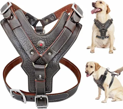 PET ARTIST Arnés de cuero duradero para perros medianos, diseño cómodo ajustable con hebillas de metal fuertes y asa para caminar diariamente para