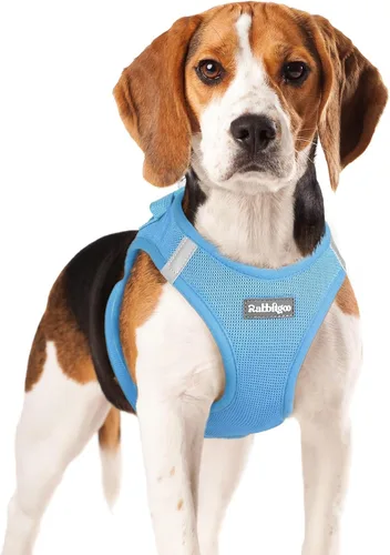 Miniatura 28 de rabbitgoo Arnés para perro pequeño, chaleco de malla suave para cachorros con hebilla de seguridad, arnés reflectante transpirable para mascotas