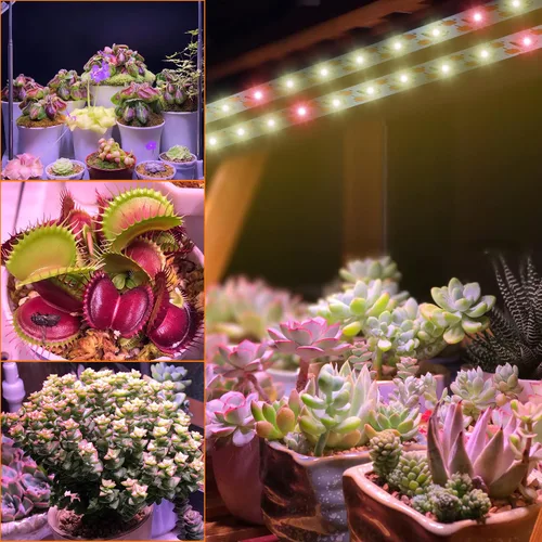Miniatura 6 de Tira de luz de cultivo impermeable para plantas de interior, luces de cultivo de plantas de espectro completo para interiores con temporizador