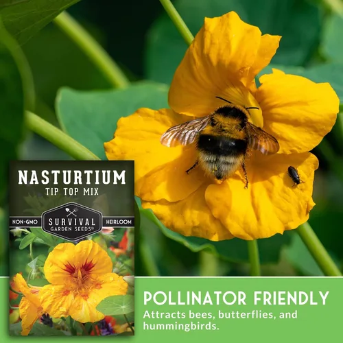 Miniatura 4 de Tip Top Mix - Semillas de capuchina para plantar al aire libre, variedad de flores comestibles y plantas complementarias, semillas sin OMG