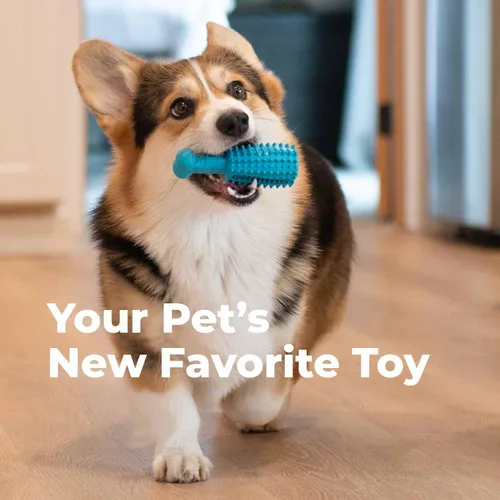 Miniatura 3 de Oxyfresh Juguete dental para masticar para perros, el mejor juguete de limpieza de dientes de perro, un simple juguete de mordida y cepillo que