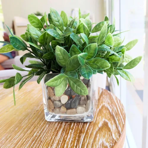 Miniatura 6 de GASPRO Rocas de río naturales de 8 libras para paisajismo, rocas decorativas para plantas en macetas y acuarios, piedras de río pulidas