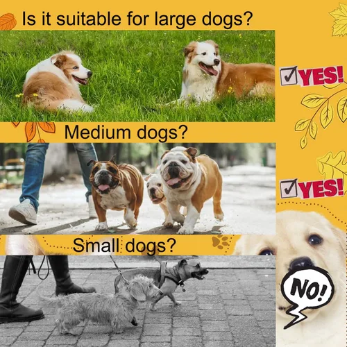 Miniatura 6 de Correa doble para perro para dos perros, resistente ajustable sin enredos, correa elástica retráctil dividida múltiple para caminar a 2 perros, 5.5