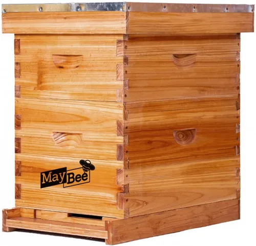 Beehive - Kit de iniciación de 8 marcos para colmenas de abejas y suministros, colmena de abejas para principiantes, colmena de abejas incluye 1