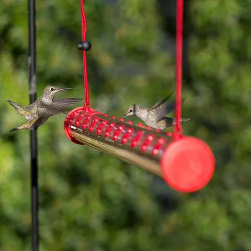 Miniatura 2 de Comedero colgante en forma de barra para colibríes. Modelo: HUMBAR200DTC. Se rellena con néctar, 22 puertos de alimentación, de la marca Perky-Per