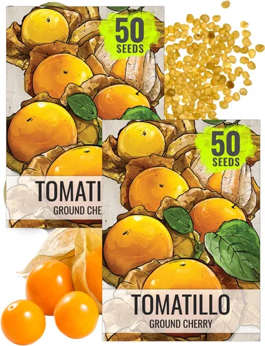 Miniatura 9 de Seed Needs Semillas de tomatillo para plantar tomatillos Grande Rio Verde, reliquia sin OMG y sin tratar, cultiva un huerto al aire libre cultivado