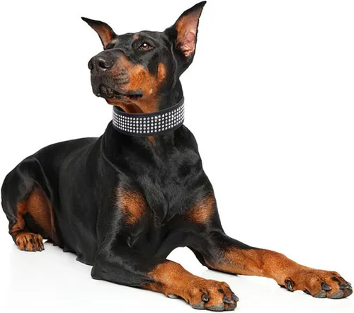 Miniatura 6 de Collares de Perro con Diamantes de Imitación - 2" de Ancho con Diamantes de Cristal con Tachuelas de Cuero PU 5 Filas Collar con Tachuelas