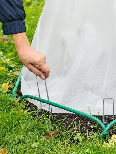 Miniatura 8 de GROWNEER Paquete de 100 grapas de jardín de 12 pulgadas, calibre 11, resistentes estacas de jardín de acero galvanizado en forma de U, estacas
