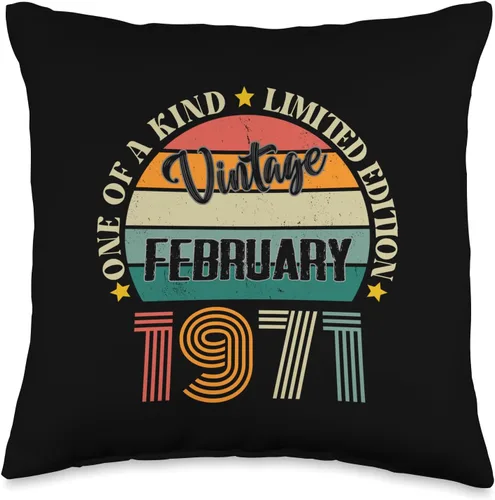 Vintage Birthday Retro Limited Edition Retro Gifts 53 Year Old Vintage February 1971 53rd Birthday Retro Throw Pillow, 16x16, Multicolor