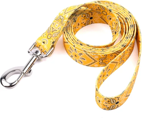 Miniatura 8 de Country Brook Design® Correa para perro Native Arizona de 1 pulgada - 6 pies Arizona nativa