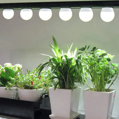 Miniatura 5 de Paquete de 3 Bombillas de Luz de Crecimiento de Espectro Completo, Luz A19 para Plantas de Interior, Bombilla de Crecimiento de 9W Regulable E26