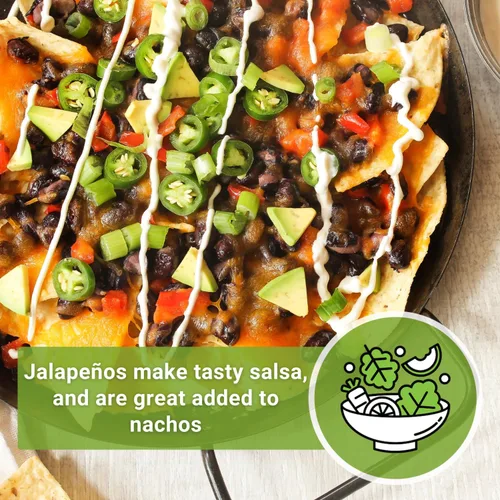 Miniatura 5 de Sow Right Seeds - Semilla de pimiento jalapeño para plantar - Paquete de reliquia sin OMG con instrucciones para plantar un huerto en el hogar al