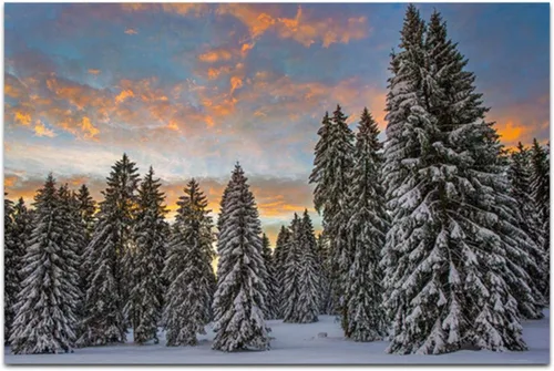 Imprimir sobre lienzo. Cartel de la naturaleza Cuadros de paisaje del bosque de la nieve de la montaña de la nieve del lago. Impresiones en lienzo