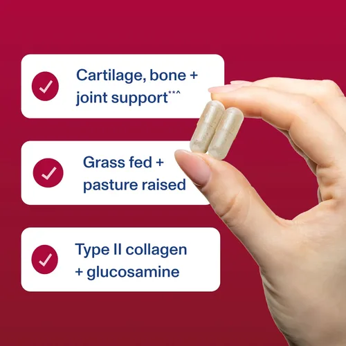 Miniatura 7 de Vital Proteins - Píldoras de colágeno de cartílago, suplemento de colágeno tipo II y sulfato de condroitina para la recuperación y cabello, piel