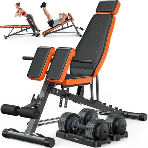 Miniatura 9 de XDDIAS Silla romana, máquina de extensión de respaldo de banco de peso ajustable para gimnasio en casa, banco todo en uno de 1000 libras con estante